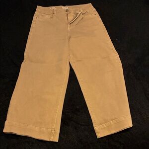 a.n.a High-Rise Tan Wide Leg Crop Pants